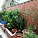 Casa à venda com 5 quartos, sendo 2 suítes, em Água Fria, São Paulo, SP