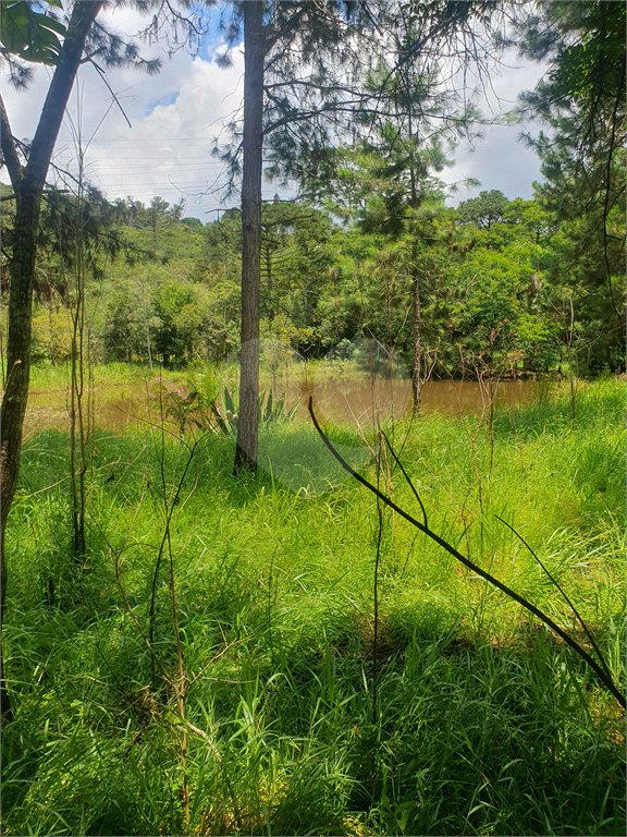 Terreno à venda em Vila Moraes, Mogi das Cruzes, SP