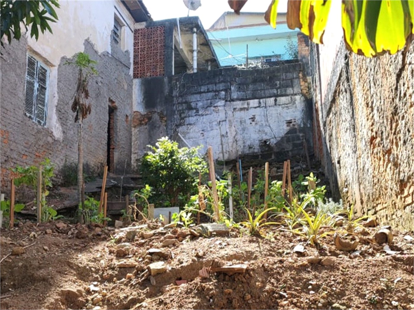 Terreno à venda em Vila Gustavo, São Paulo, SP