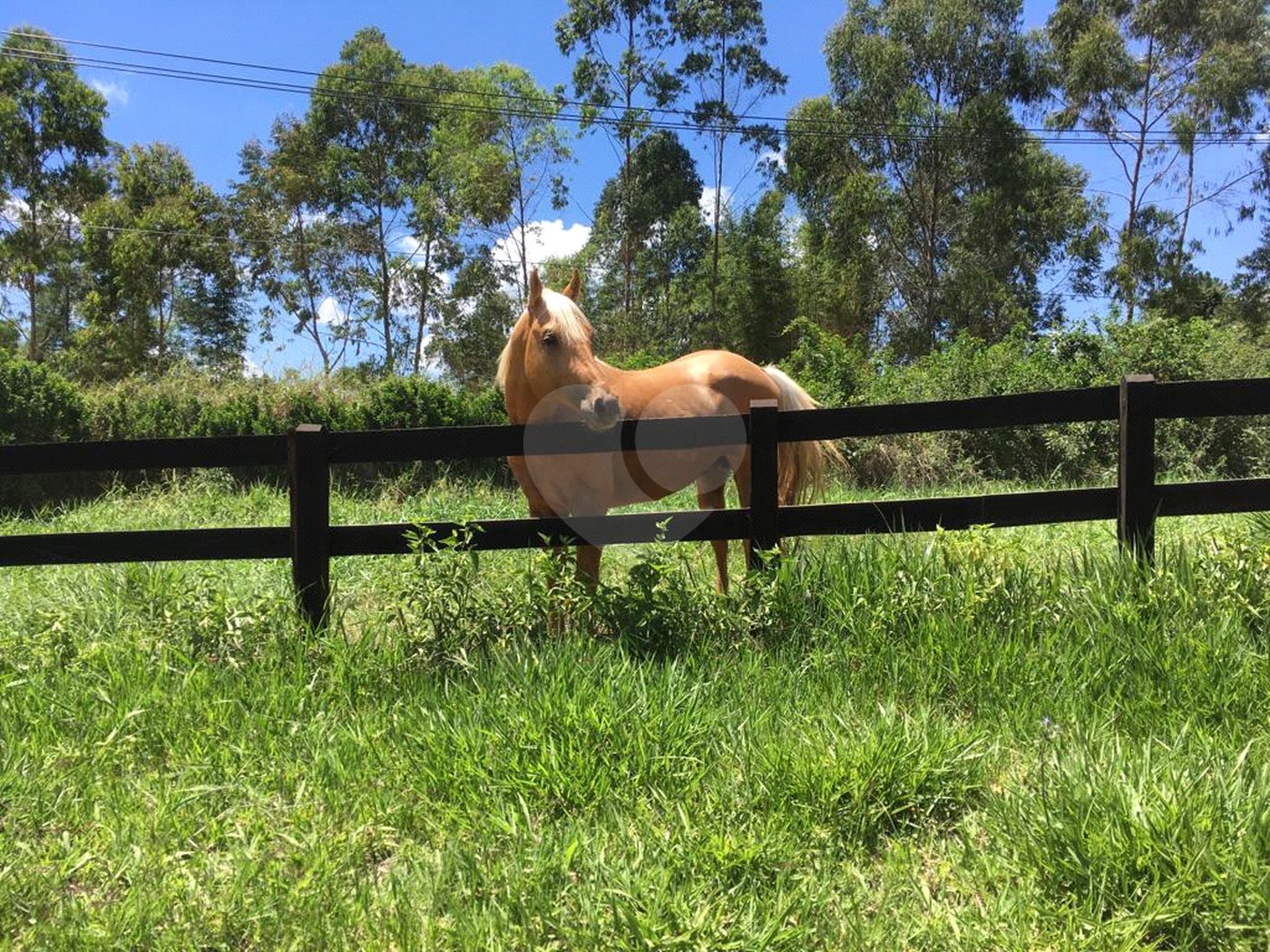 Sítio à venda com 3 suítes em Jardim Guaçu, São Roque, SP