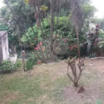 Terreno à venda em Tucuruvi, São Paulo, SP