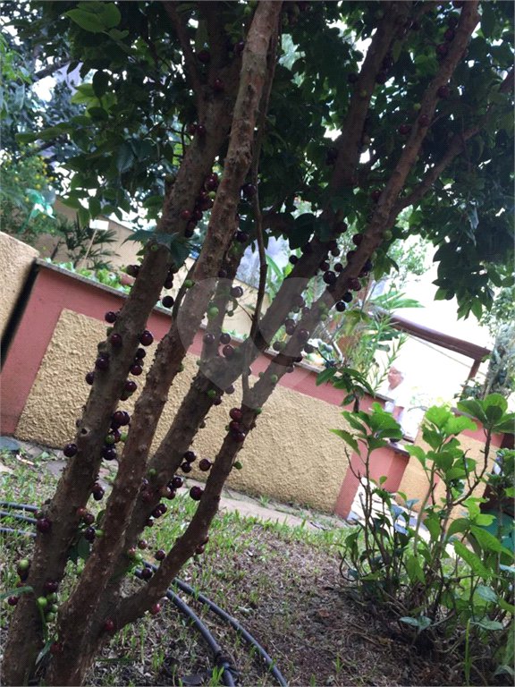Sobrado à venda com 6 quartos, sendo 2 suítes, em Horto Florestal, São Paulo, SP