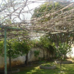 Casa Térrea à venda com 3 quartos, sendo 1 suíte, em Tremembé, São Paulo, SP