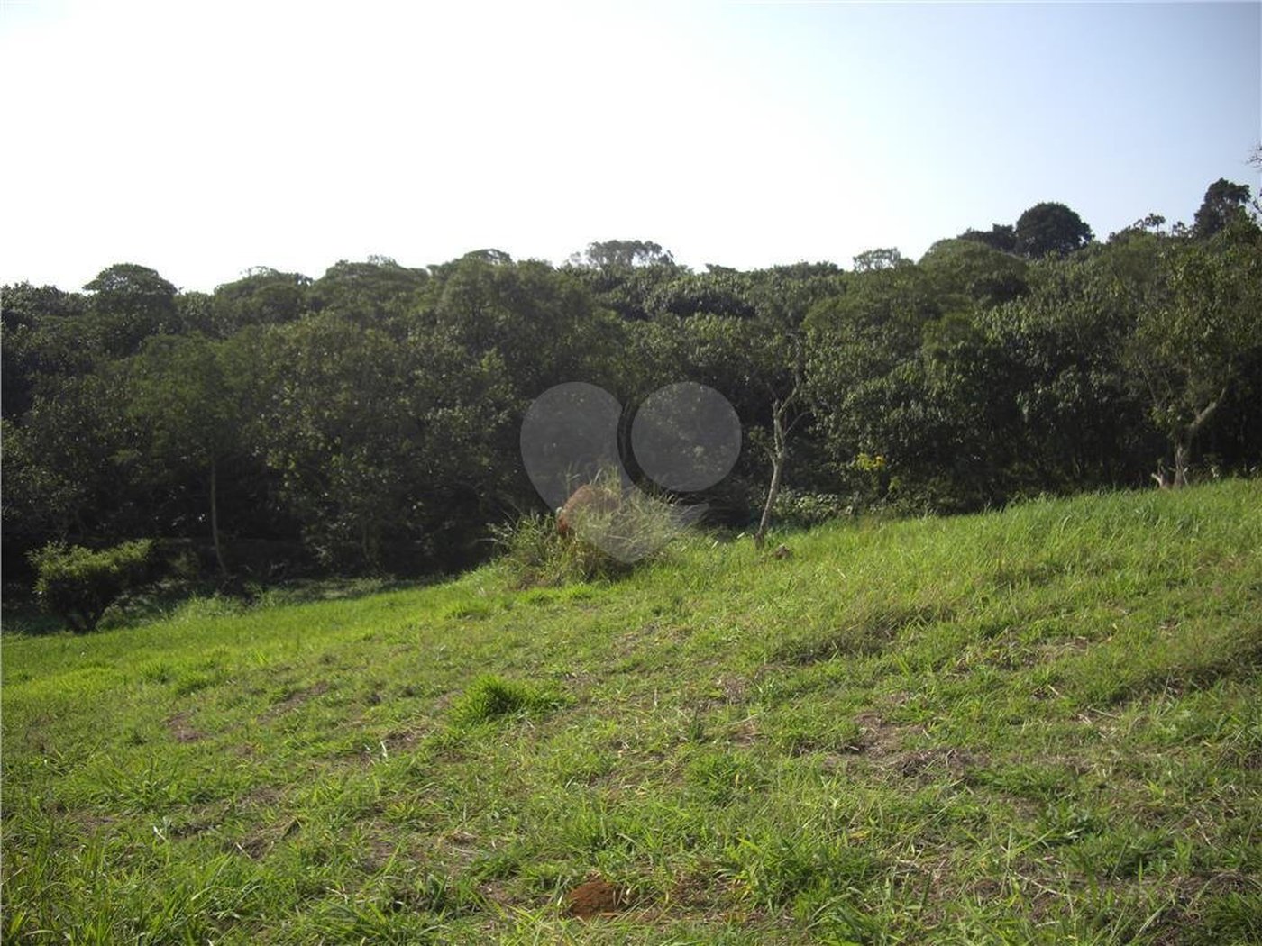 Área de Terra à venda em Porteira Preta, Mogi das Cruzes, SP