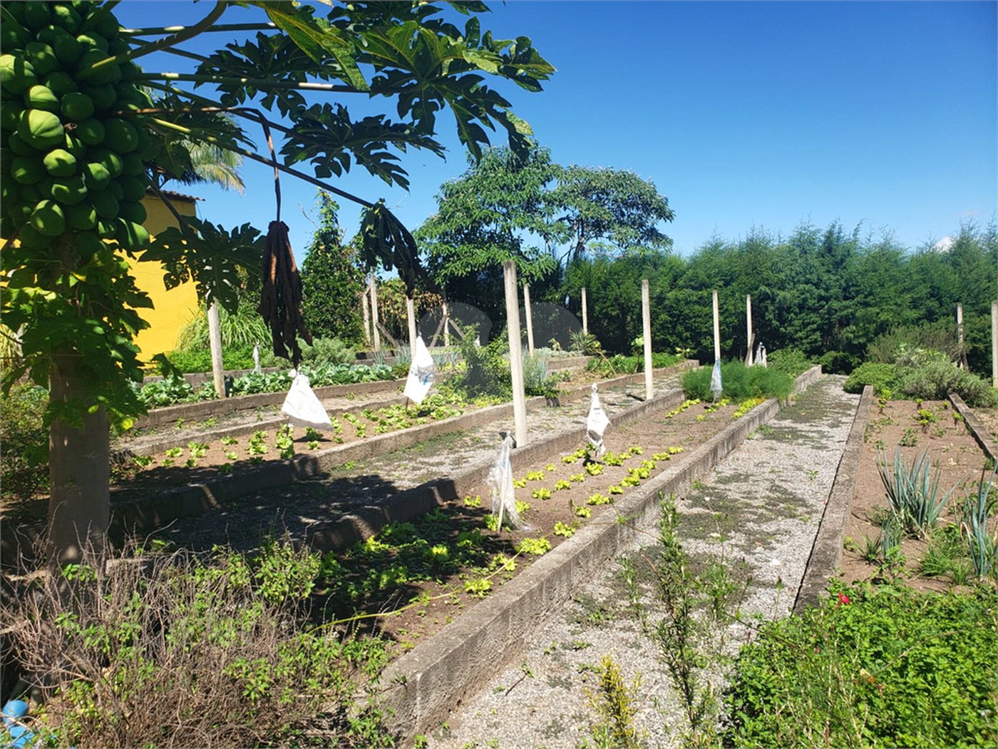 Chácara à venda com 4 suítes em Área Rural de Mogi das Cruzes, Mogi das Cruzes, SP
