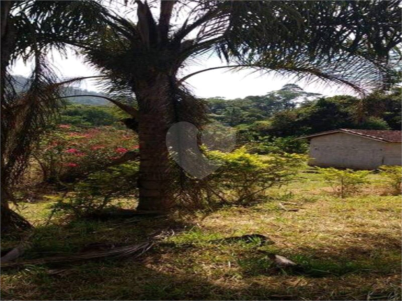 Terreno à venda em Bairro do Cambará, São Roque, SP