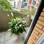 Apartamento à venda com 4 quartos, sendo 3 suítes, em Água Fria, São Paulo, SP