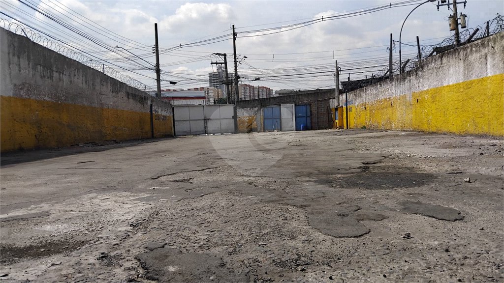 Terreno para alugar em Jardim Ivana, São Paulo, SP