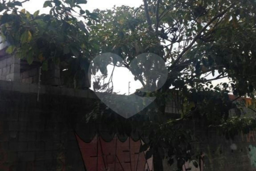 Terreno à venda no condomínio Sem Nome, São Paulo - SP