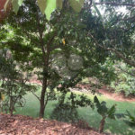 Terreno à venda em Jardim Nova América, Louveira, SP