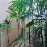 Sobrado à venda com 3 quartos, sendo 1 suíte,  em Vila Trujillo, Sorocaba, SP