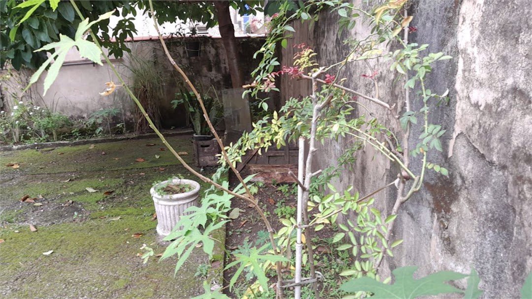 Casa com 2 dormitórios à venda, 87 m² por R$ 690.000,00 - Ponta da Praia - Santos/SP