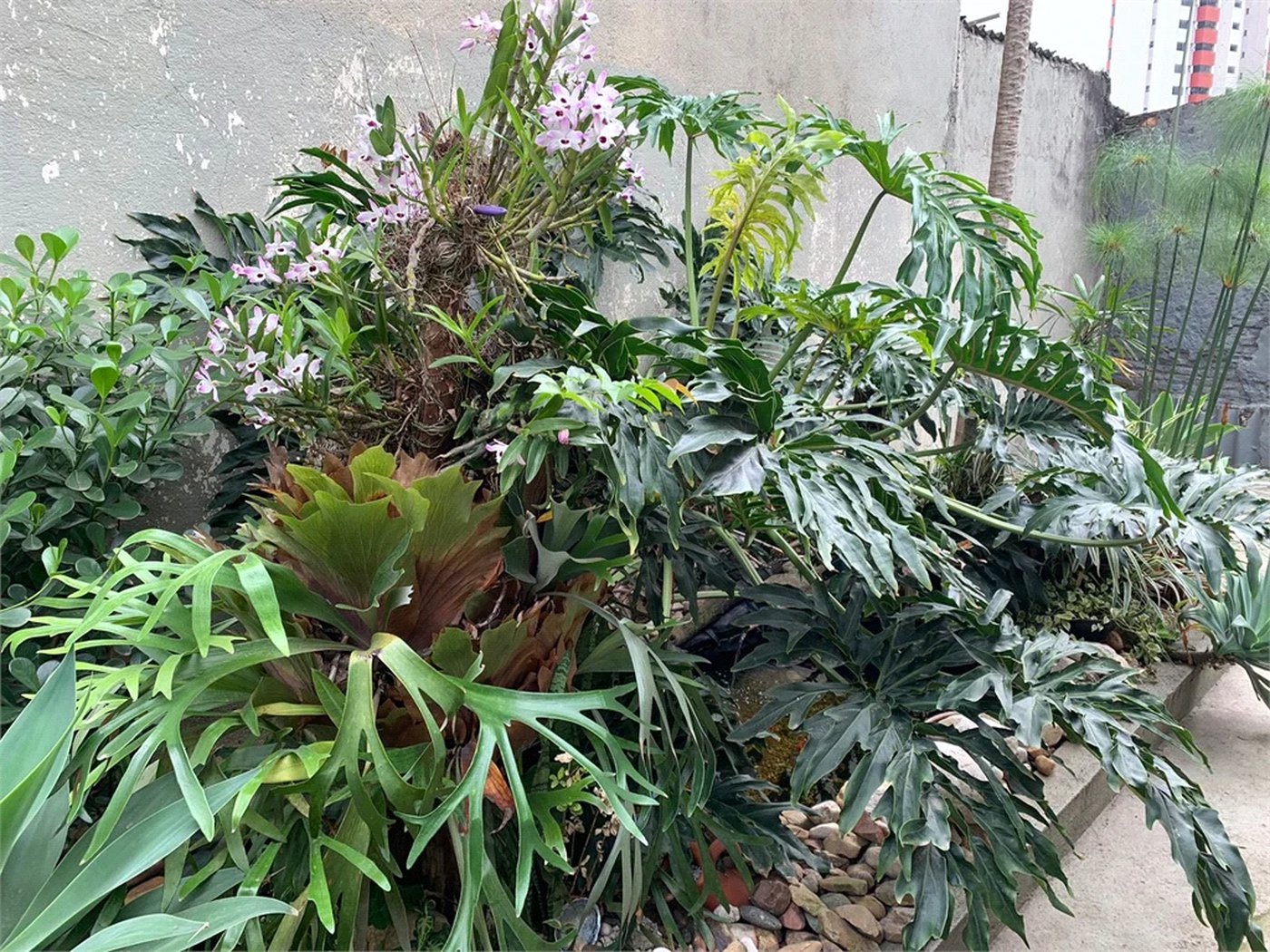 Casa à venda com 4 quartos em Vila Ipojuca, São Paulo, SP