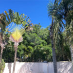 Casa à venda com 5 suítes em Marina, Armação dos Búzios, RJ
