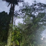 Sobrado à venda com 3 suítes em Nova Petrópolis, São Bernardo do Campo, SP