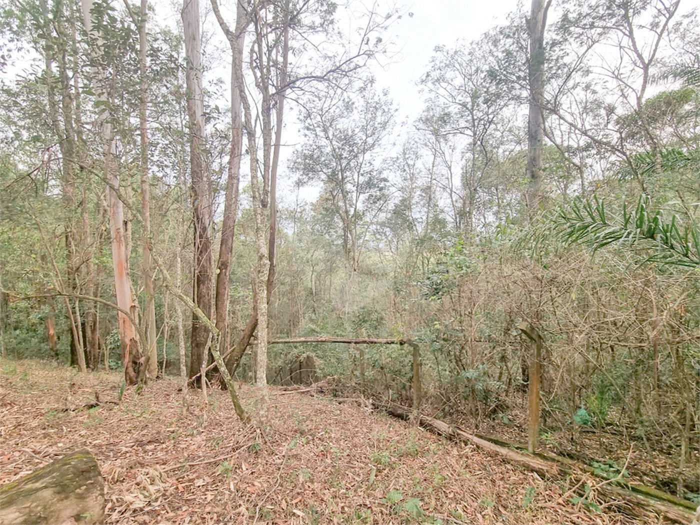 Terreno à venda no condomínio Vale da Santa Fé, Vinhedo - SP