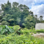 Terreno à venda em Tremembé, São Paulo, SP