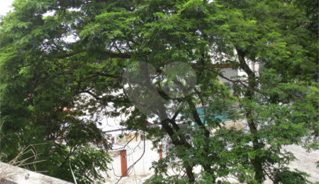Apartamento à venda com 2 quartos em Vila Parque Jabaquara, São Paulo, SP