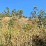 Terreno à venda em Caete (mailasqui), São Roque, SP