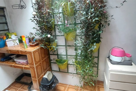 Casa à venda com 3 quartos, sendo 1 suíte, em Perdizes, São Paulo, SP
