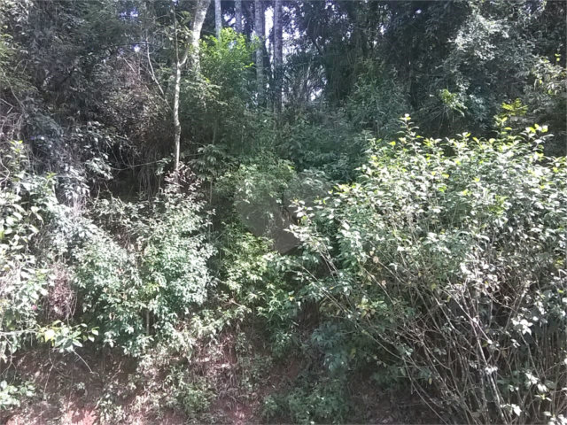 Terreno à venda em Serra da Cantareira, Mairiporã, SP