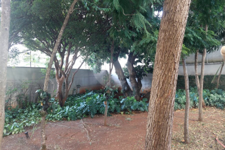 Apartamento para alugar com 3 quartos, sendo 1 suíte, em Perdizes, São Paulo, SP