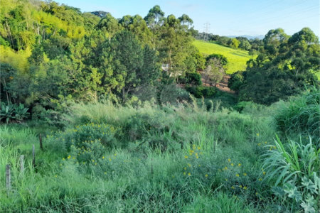 Área de Terra à venda em Três Pistas, Atibaia, SP