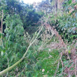 Terreno à venda no condomínio Sausalito, Mairiporã - SP