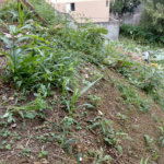 Terreno à venda em Tucuruvi, São Paulo, SP