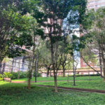 Apartamento para alugar com 4 suítes em Chácara Santo Antônio, São Paulo, SP