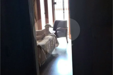 Sobrado à venda com 3 suítes em Vila Gustavo, São Paulo, SP