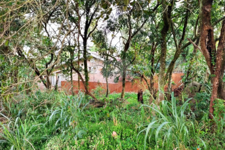 Terreno à venda em Tucuruvi, São Paulo, SP