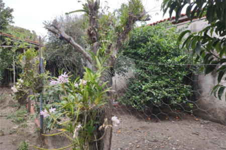 Casa Térrea à venda com 3 quartos em Vila Progresso, Porto Feliz, SP