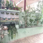 Casa à venda com 2 quartos em Parada Inglesa, São Paulo, SP