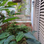 Casa à venda com 4 quartos, sendo 2 suítes, em Vila Mascote, São Paulo, SP