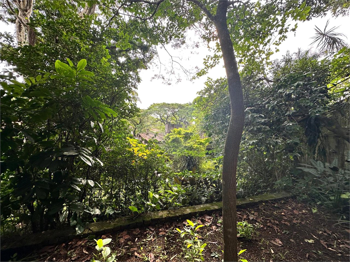 Casa à venda com 3 quartos, sendo 1 suíte, em Jardim Marajoara, São Paulo, SP