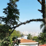 Casa à venda ou para alugar com 4 suítes em Barro Branco (zona Norte), São Paulo, SP
