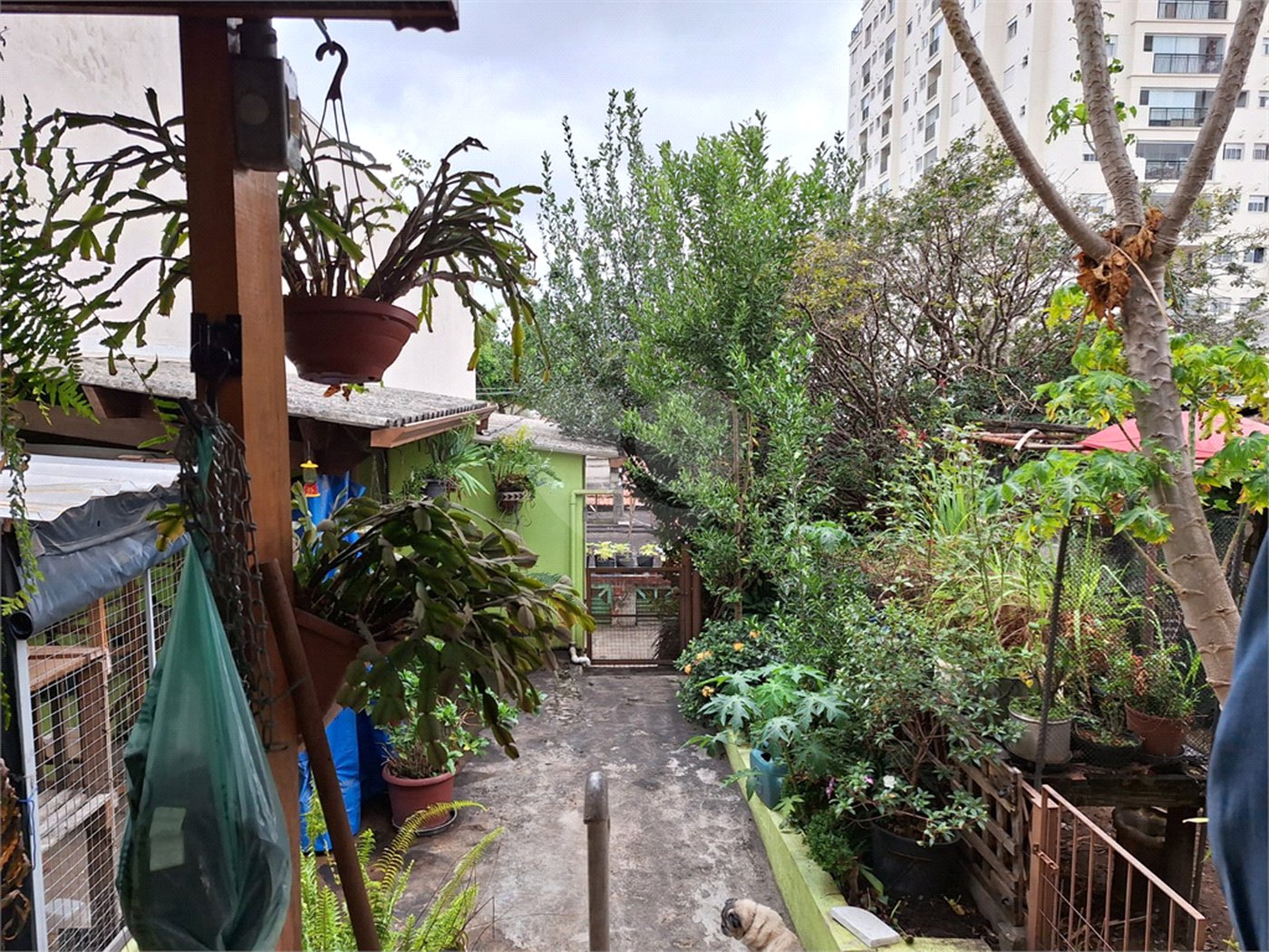Casa Térrea à venda com 5 quartos, sendo 3 suítes,  em Vila Mazzei, São Paulo, SP