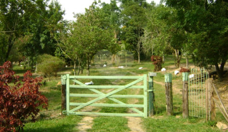 Área de Terra à venda em Colinas do Mosteiro de Itaici, Indaiatuba, SP