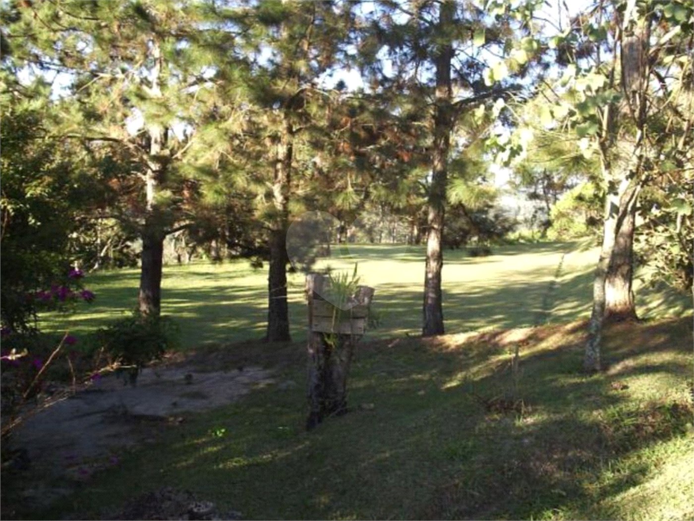 Terreno à venda em Vila Darcy Penteado (mailasqui), São Roque, SP