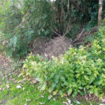 Terreno à venda no condomínio Sausalito, Mairiporã - SP