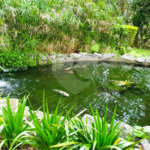 Terreno à venda em Jardim São Vicente, Cotia, SP