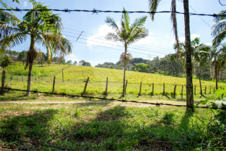 Terreno à venda em Vila Darcy Penteado (mailasqui), São Roque, SP