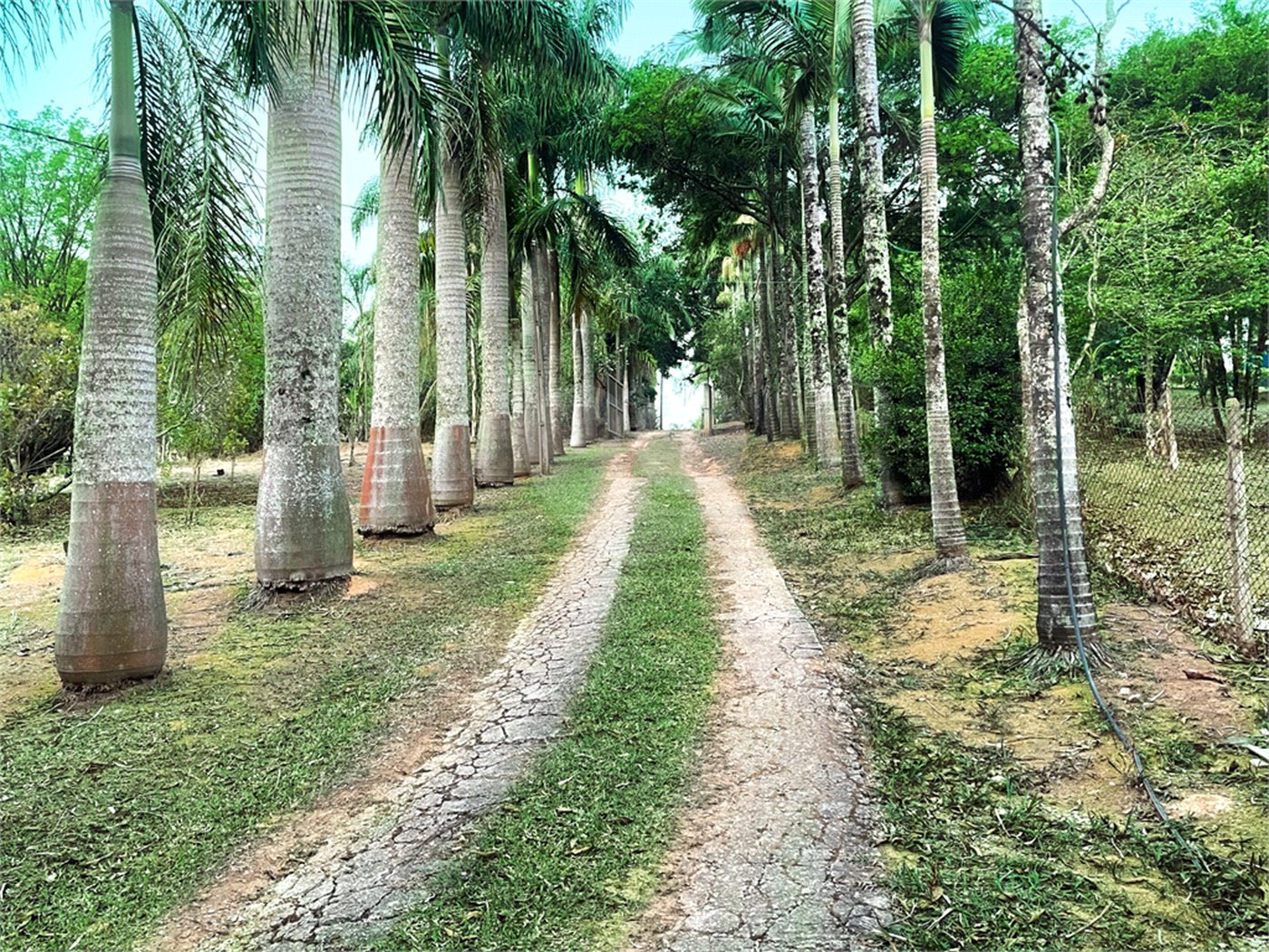 Sítio à venda com 4 suítes em Loteamento Vale das Flores, Atibaia, SP