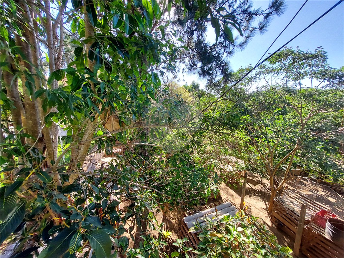 Chácara à venda com 2 quartos em Bosque, Vinhedo, SP
