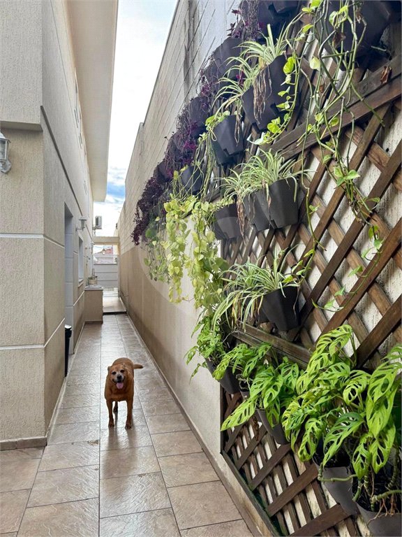 Sobrado à venda com 4 suítes em Vila Guilherme, São Paulo, SP