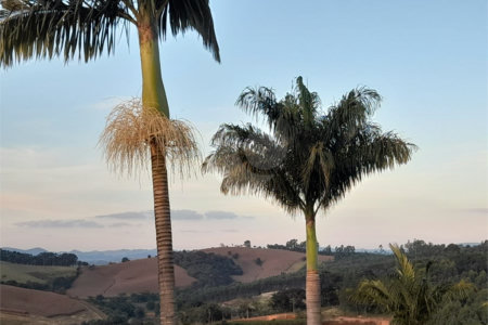 Linda chácara em Pinhalzinho