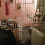 Casa à venda com 3 quartos, sendo 2 suítes, em Imirim, São Paulo, SP