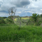 GLEBAS RURAIS EM PIRACAIA A PARTIR 20.000 M², EXCELENTE PARA CHÁCARAS E FAZENDINHAS