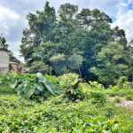 Terreno à venda em Tremembé, São Paulo, SP